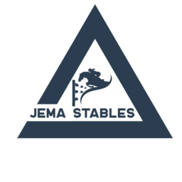 Logo JEMA HANNUT