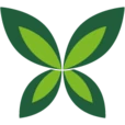 Logo LINEA RECTA
