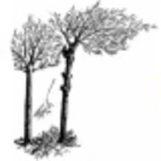 Logo ARBO MUYLDERMANS