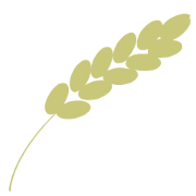 Logo Gemeente Gingelom