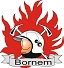 Logo Brandweer Bornem