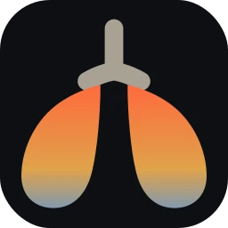 Logo LUNG