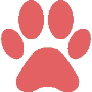 Logo Stray Aid Montenegro