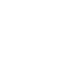 Logo 96