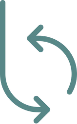Logo BRING BACK