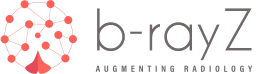 Logo b-rayZ AG