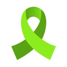 Logo LYME-INT