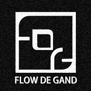 Logo Flow De Gand vzw