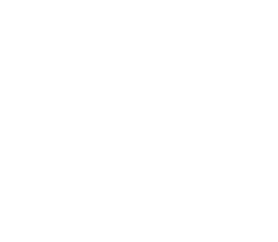 Logo WILMOTTE