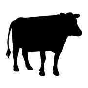 Logo KRUISHUISHOEVE