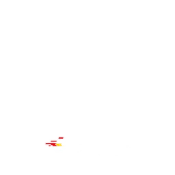 Logo RGS RACING