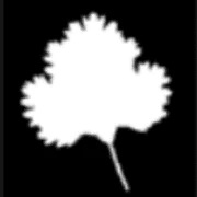 Logo AGNES et DAMIEN