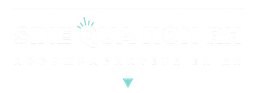 Logo Sine Qua Non Ressources Humaines