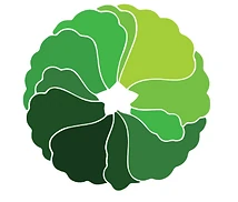 Logo TOKIDOKI