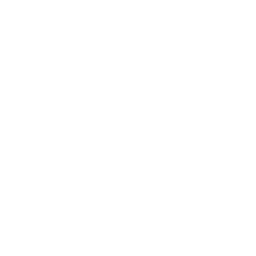 Logo Scaling Trust