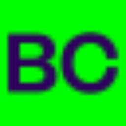 Logo BLOOM Consulting
