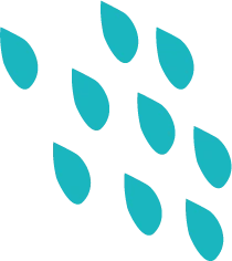 Logo DWG PROJECTS