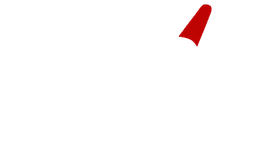 Logo DERVIS