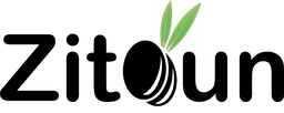 Logo ZITOUN