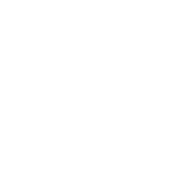 Logo Temse Duikers