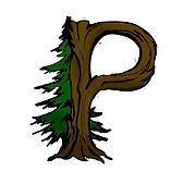 Logo PINEDES