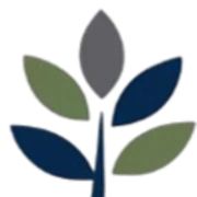 Logo Irrawaddy