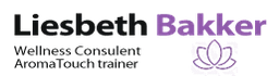 Logo Bliz Events BV