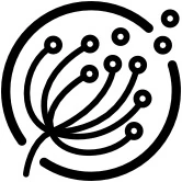 Logo Kulbaba