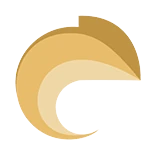 Logo KAMELEON CONSULTING