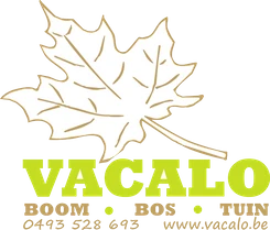 Logo VACALO