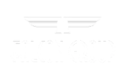 Logo FALCON GROUP