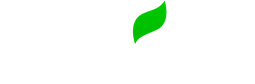 Logo MINTYFRESH
