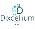 Logo DIXCELLIUM
