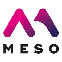 Logo MESO