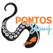 Logo Pontos Diving ASBL