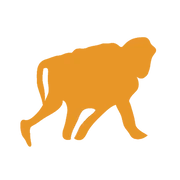 Logo GK2M