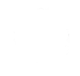 Logo VINDA