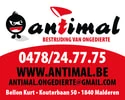 Logo Antimal