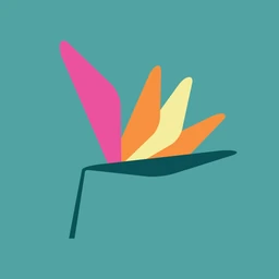 Logo Kokonuts