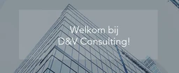 Logo D&V CONSULTING