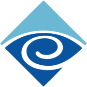 Logo VIDYO EMEA