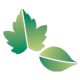 Logo BOSRAND