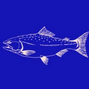 Logo THE SALMON ATELIER