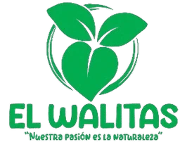 Logo WALITAS