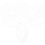 Logo Biodynamische Imkers Vlaanderen