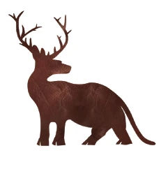 Logo Parandrus