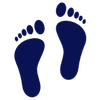 Logo Barefoot Belgium