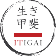 Logo ITIGAI