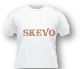 Logo SKEVO