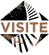 Logo VISITE